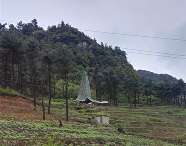 把脈“黔”鋅地，問診開良方