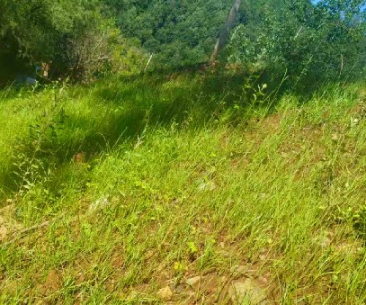 柳關欒盧鉛鋅礦|治理排土“瘡疤”，繪就綠色畫卷